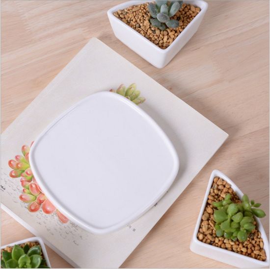Base circulaire avec grand pot de fleurs en céramique blanche