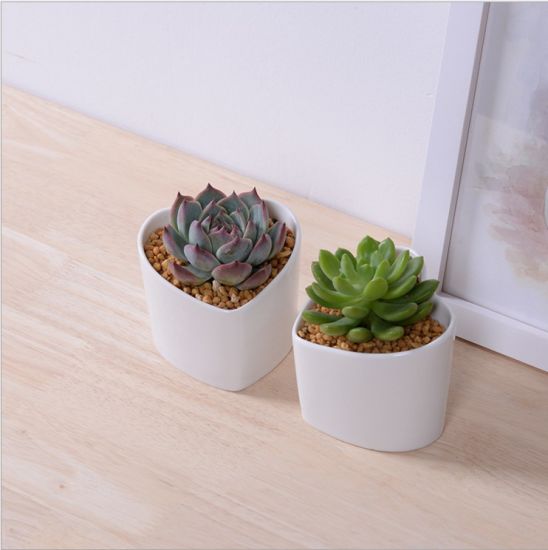 Caractéristiques décoratives Pot de fleur blanc en forme de coeur en forme de pêche