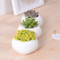 Pot de fleurs en céramique blanc carré miniature créatif