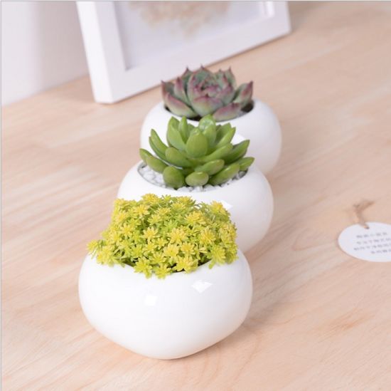 Pot de fleurs en céramique blanc carré miniature créatif