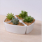 Table basse Type de bureau Pot de fleurs en céramique White Goose