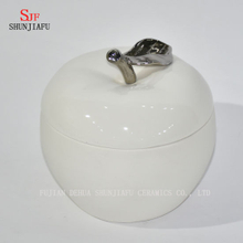 Forme de pomme et de fraise nouvelle boîte à bijoux ronde à la main de fleur blanche