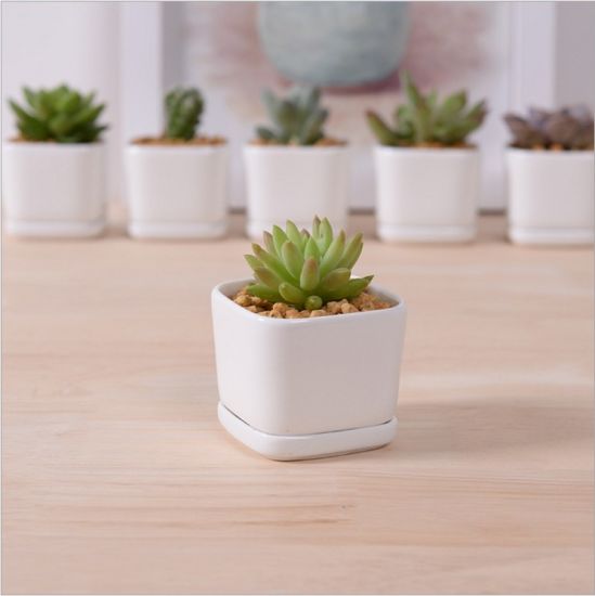 Pot de fleurs à base de porcelaine blanche en céramique de mode de personnalité