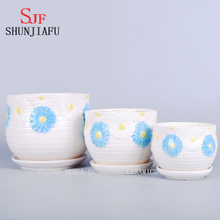 Pot de fleurs de jardinière à soucoupe design marguerite blanche et bleue géante