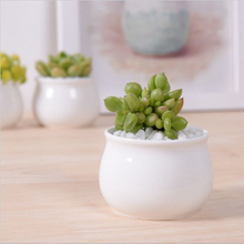 Décoration de bureau créative Mini pot de fleur rond en céramique