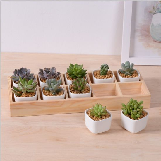 Bureau de loisirs avec 5 pots en céramique à base de treillis