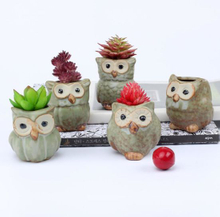 Vente en gros Mini pot de fleur hibou en céramique pour plante succulente