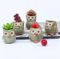 Vente en gros Mini pot de fleur hibou en céramique pour plante succulente