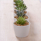 Mini pots de fleurs décoratifs en céramique blanche ronde