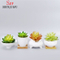 Pot de fleurs succulentes rondes en céramique blanche