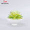 Pot de fleurs succulentes rondes en céramique blanche