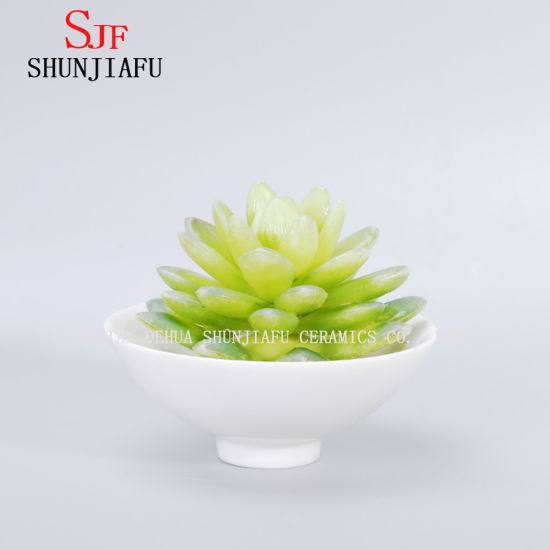 Pot de fleurs succulentes rondes en céramique blanche