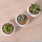 Pot de fleurs en céramique blanc carré miniature créatif
