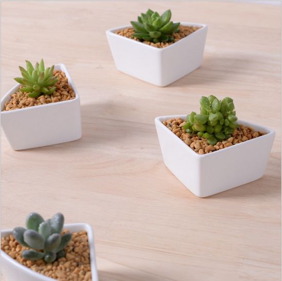 Pot de fleurs combiné triangle en céramique de bureau