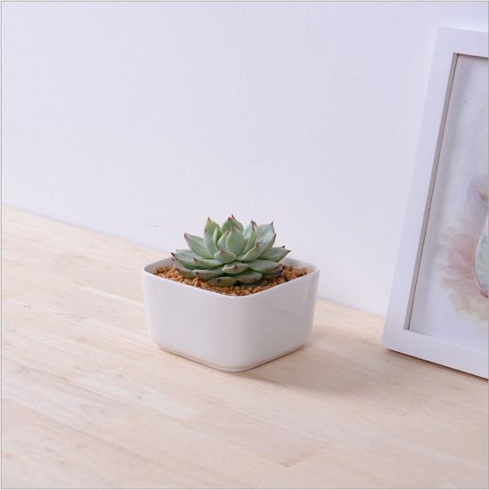 Table Table Basse Circulaire Grand Pot De Fleurs En Céramique Blanc