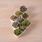 Décoration de bureau créative Mini pot de fleur en céramique blanche