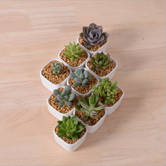 Décoration de bureau créative Mini pot de fleur en céramique blanche