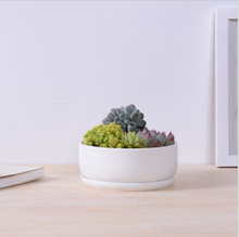 Base circulaire avec grand pot de fleurs en céramique blanche