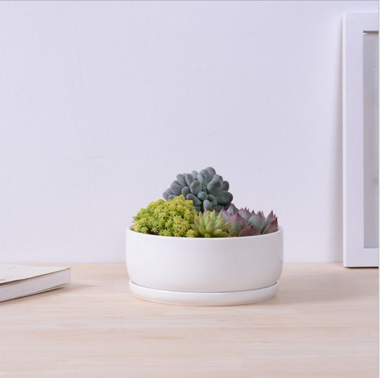 Base circulaire avec grand pot de fleurs en céramique blanche