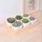 Desktop Cafe 6 Treillis de pot de fleur en céramique à base en bois