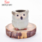 Cadeaux promotionnels Mini pot de fleur hibou en céramique