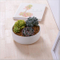 Petit pot de fleurs rond en céramique
