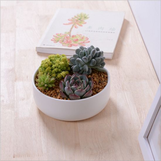Petit pot de fleurs rond en céramique