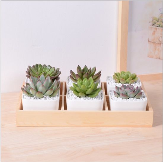 Bureau de loisirs avec 5 pots en céramique à base de treillis