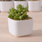 Pot de fleur carré blanc contenant une base