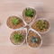 Articles d'ameublement de bureau mini pot de fleur blanc en céramique