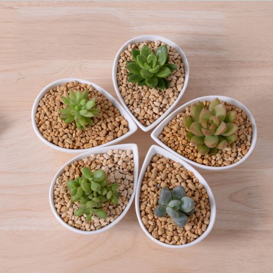 Articles d'ameublement de bureau mini pot de fleur blanc en céramique