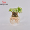Vase en céramique, idéal pour les arrangements floraux séchés à la maison, les mariages
