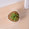 Mini pot blanc triangulaire en céramique de bureau créatif