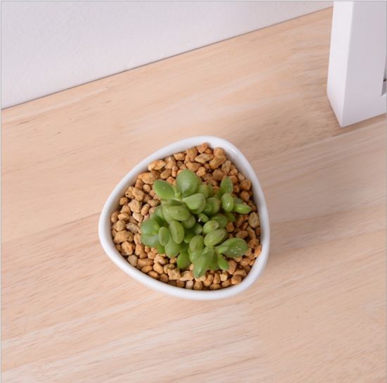 Mini pot blanc triangulaire en céramique de bureau créatif