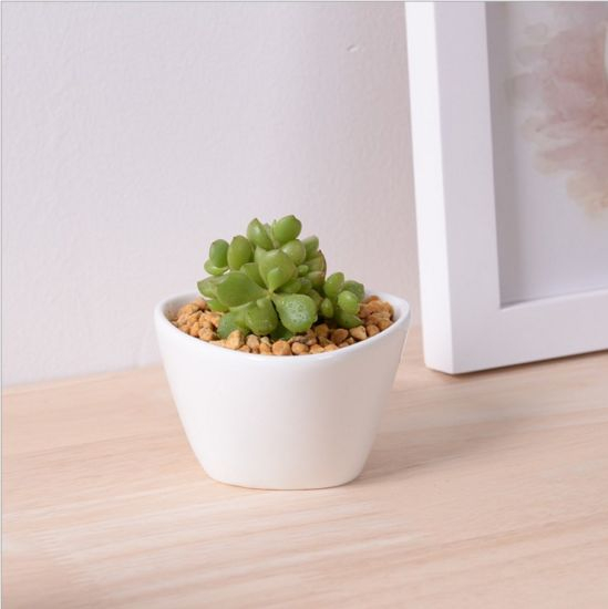 Mini pot blanc triangulaire en céramique de bureau créatif
