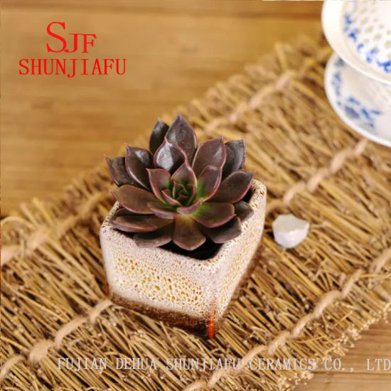 Pot de fleur en céramique de décoration à la maison avec une couleur différente