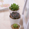Grand mini pot de fleurs rond en céramique