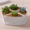 Base circulaire avec grand pot de fleurs en céramique blanche