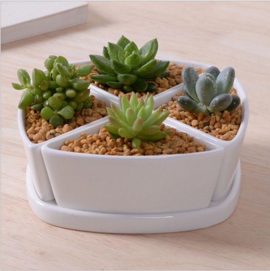Base circulaire avec grand pot de fleurs en céramique blanche