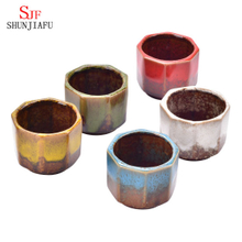 Pots de plantes pots de fleurs