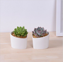 Caractéristiques décoratives Pot de fleur blanc en forme de coeur en forme de pêche