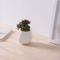 Articles d'ameublement de bureau mini pot de fleur blanc en céramique