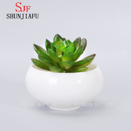 Pot de fleurs succulentes rondes en céramique blanche