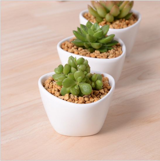 Mini pot blanc triangulaire en céramique de bureau créatif