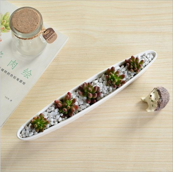 Mini pot de fleurs blanc en forme de bateau d'olive en céramique personnalisé