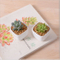 Décoration de bureau créative Mini pot de fleur en céramique blanche