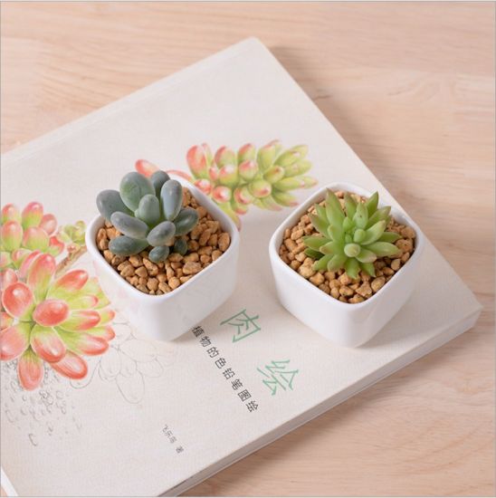 Décoration de bureau créative Mini pot de fleur en céramique blanche
