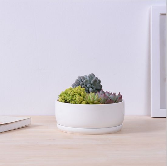 Desktop Cafe 6 Treillis de pot de fleur en céramique à base en bois