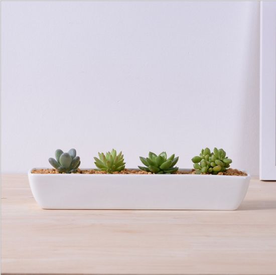 Pot de fleurs blanc en forme de petite dent en céramique ivoire