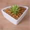 Pot de fleurs triangulaire en céramique blanche avec base en bambou